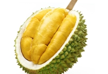 Giá Sầu Riêng Hôm Nay