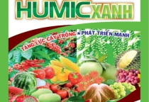 KHẮC PHỤC HỒ TIÊU VÀ CHANH DÂY TẠI GIA LAI VÀ DAKLAK HUMIC XANH