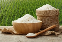 Giá lúa gạo hôm nay Giá lúa tăng 300 - 400 đồng/kg, gạo tăng 500 đồng/kg