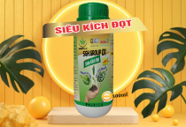 TOP 3 SẢN PHẨM SIÊU KÍCH ĐỌT HIỆU QUẢ CHO CÂY TRỒNG