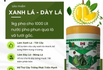 XANH LÁ- DÀY LÁ