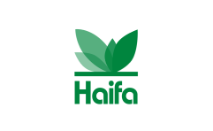 HAIFA