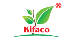 Kifaco