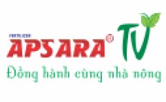 APSARA 