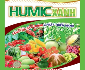 KHẮC PHỤC HỒ TIÊU VÀ CHANH DÂY TẠI GIA LAI VÀ DAKLAK HUMIC XANH