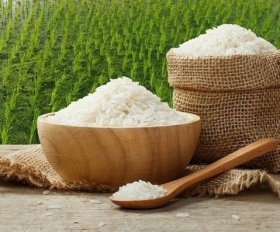Giá lúa gạo hôm nay Giá lúa tăng 300 - 400 đồng/kg, gạo tăng 500 đồng/kg