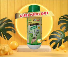 TOP 3 SẢN PHẨM SIÊU KÍCH ĐỌT HIỆU QUẢ CHO CÂY TRỒNG