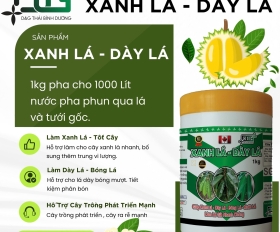 XANH LÁ- DÀY LÁ
