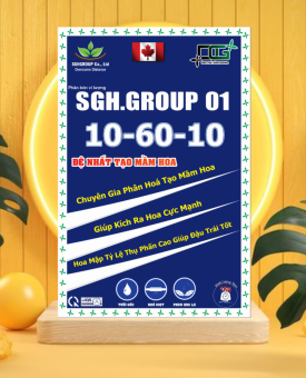 10-60-10 CHUYÊN GIA TẠO MẦM HOA NGHỊCH VỤ
