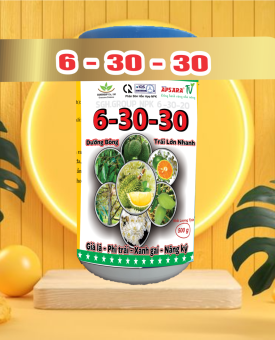 6-30-30 NPK phân bón làm già lá Kích mầm
