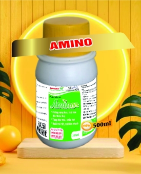 AMINO