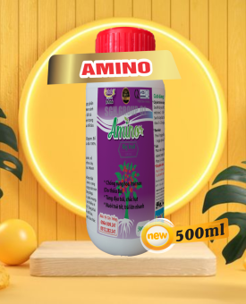 AMINO HATESLA