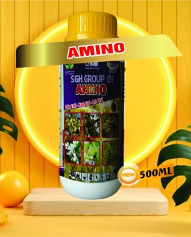 AMINO 500ML DƯỠNG BÔNG ĐẬU TRÁI HATESLA