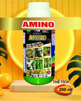 AMINO CHAI 250ml