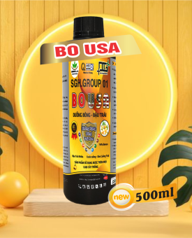 BO USA