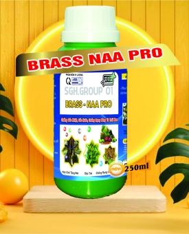 BRASSINOLINE BRASS NAA PRO CHỐNG RỤNG SINH LÝ TRÊN CÂY SẦU RIÊNG DG