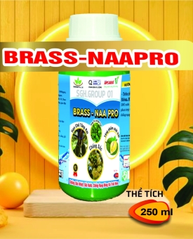 BRASSINOLINE BRASS NAA PRO CHỐNG RỤNG SINH LÝ TRÊN CÂY SẦU RIÊNG