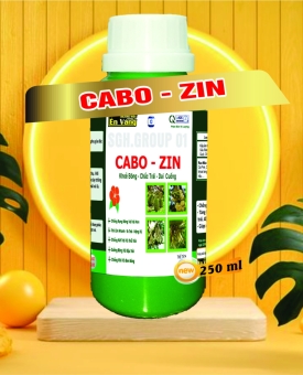 CABOZIN