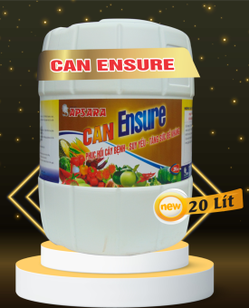 CAN ENSURE