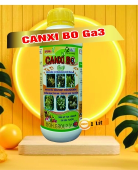 CANXI BO GA3