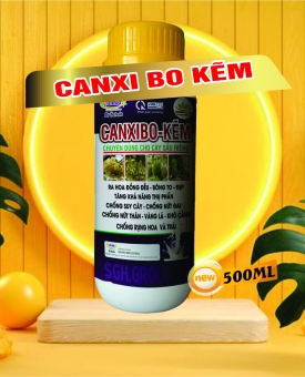 CANXI BO KẼM 500ML HATESLA