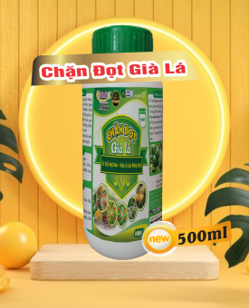 CHẶN ĐỌT GIÀ LÁ