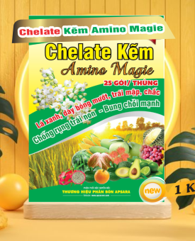 CHELATE KẼM AMINO MAGIE