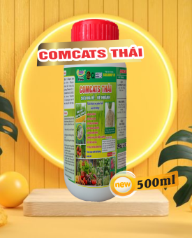 Comcats Thái