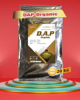 DAP ĐẠM CÁ VIÊN