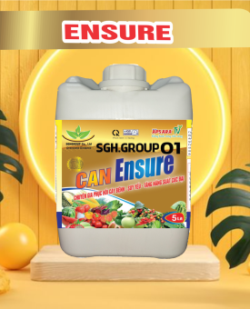 ENSURE CAN 5LIT