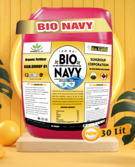 BIO NAVY ÉN VÀNG