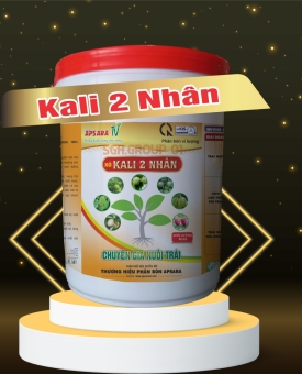 KALI 2 NHÂN