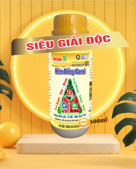 Kẽm Đồng Canxi 