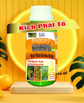 KÍCH PHÁT TỐ