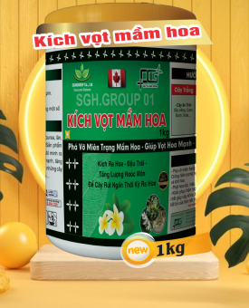 Kích Vọt Mầm Hoa
