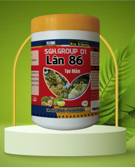 LÂN 86 ÉN VÀNG HŨ 1KG