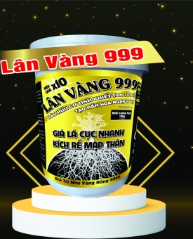 LÂN VÀNG 999