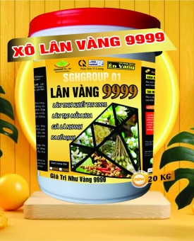 XÔ LÂN VÀNG 9999