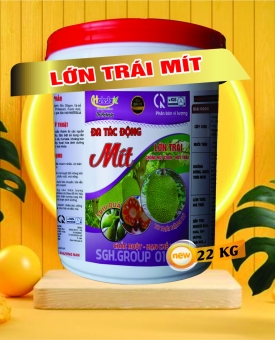 LỚN TRÁI MÍT 22KG