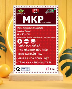 MKP 05234(MKP HAI BINH) mkp haifa