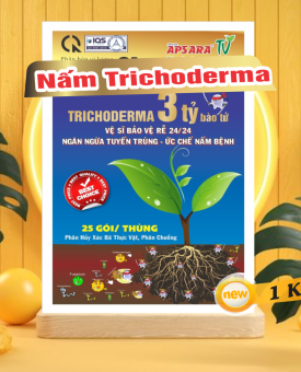 Nấm Trichoderma  3 tỷ lợi khuẩn