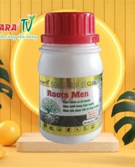 Root Men