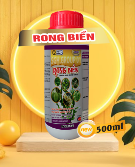 Rong biển chai 500ml