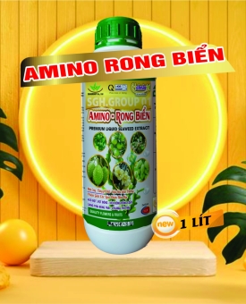 RONG BIỂN AMINO CHAI 1L HATESLA