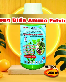 AMINO RONG BIỂN FULVIC 250ml