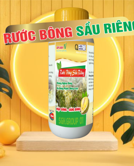 RƯỚC BÔNG SẦU RIÊNG
