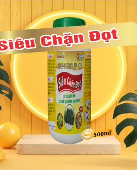 SIÊU CHẶN ĐỌT