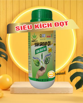 SIêu Kích Đọt Chai 500ml