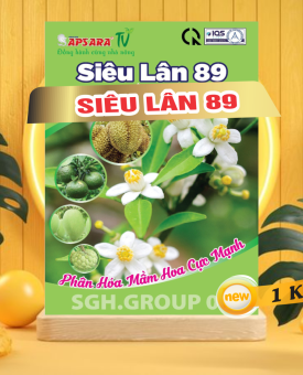 LÂN 89