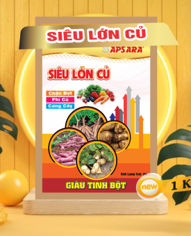 SIÊU TO CỦ LỚN CỦ